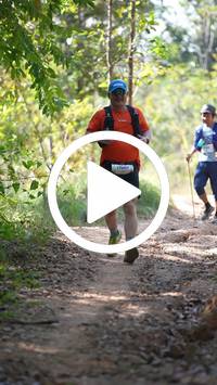 BIB:  <button type="button" onclick="openModal(27630180)" class="btn btn-primary btn-sm float-right" data-toggle="modal" data-target=".modal-high-quality">
                <i class="fa fa-download"></i> Download
                </button>